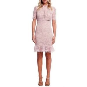 Bardot Theodora Lace Sheath Mini Dress Size US 12